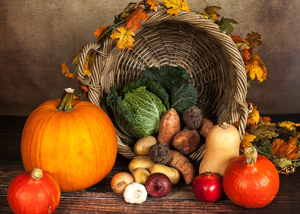 Thanksgiving, pumpkin, vegetable, vegan