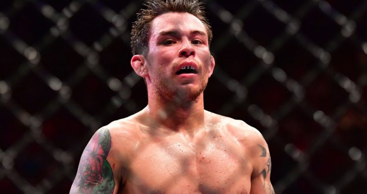 Ray Borg