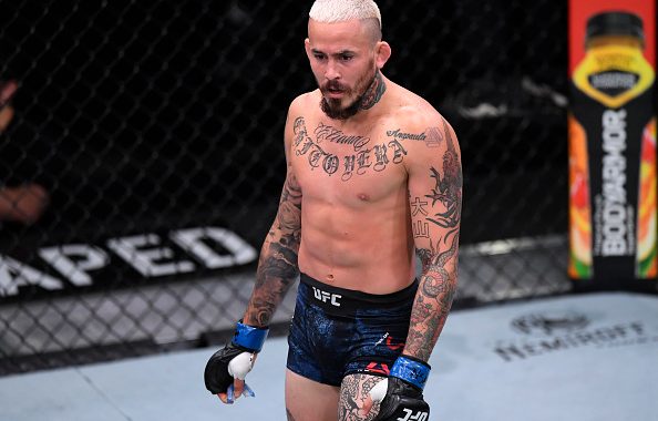 Marlon Vera TKO's injured Sean O'Malley in Round 1