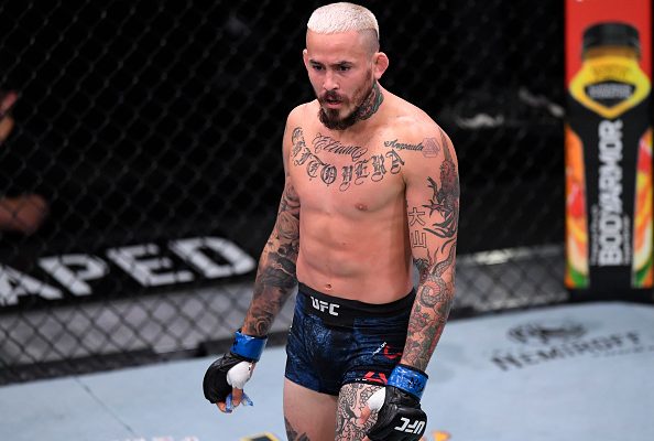 Marlon Vera TKO's injured Sean O'Malley in Round 1