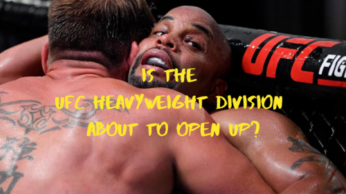 UFC heavyweight division