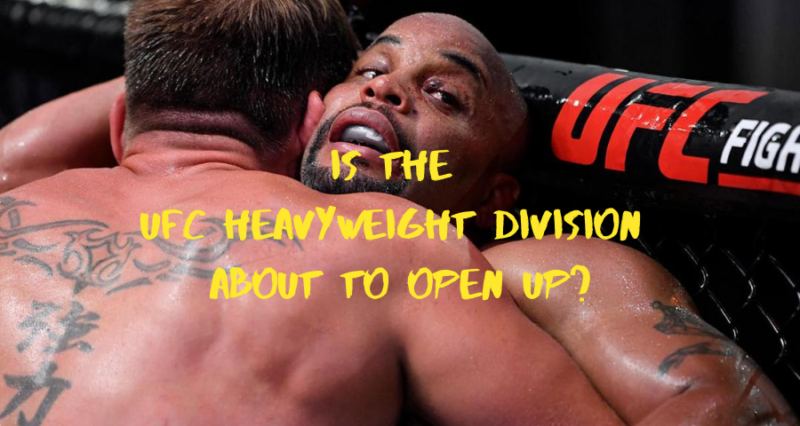 UFC heavyweight division