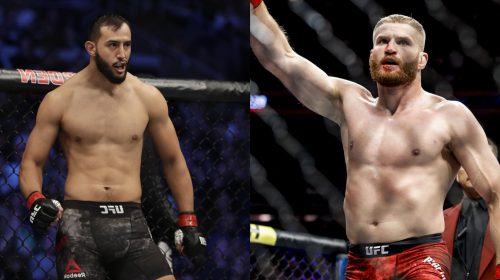 Dominick Reyes and Jan Blachowicz