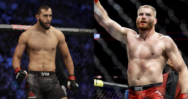 Dominick Reyes and Jan Blachowicz