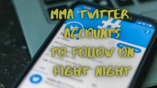 MMA Twitter accounts to follow on Fight Night