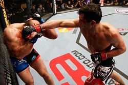 Bellator 250 preview