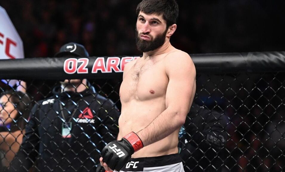 What's next for UFC lightheavyweight contender Magomed Ankalaev?