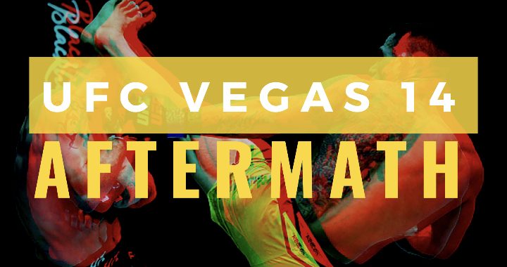 UFC Vegas 14