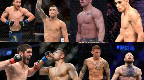 UFC Lightweight Division