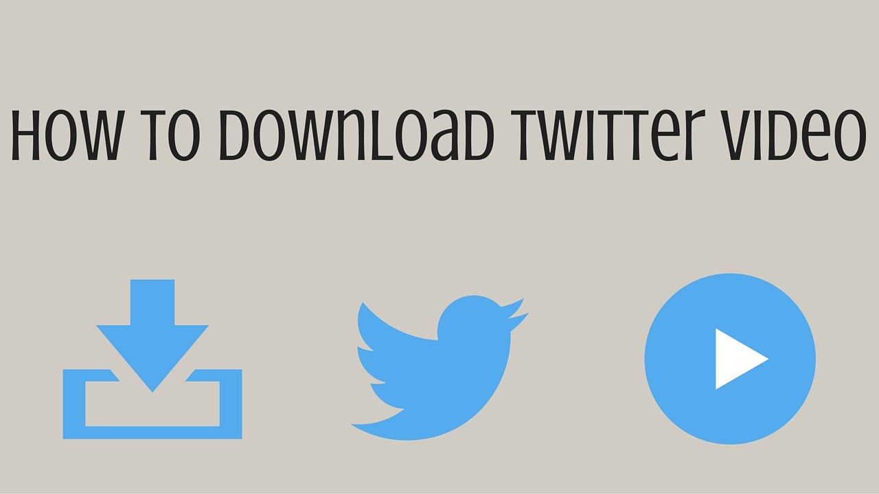 How To Download Twitter And Download Videos