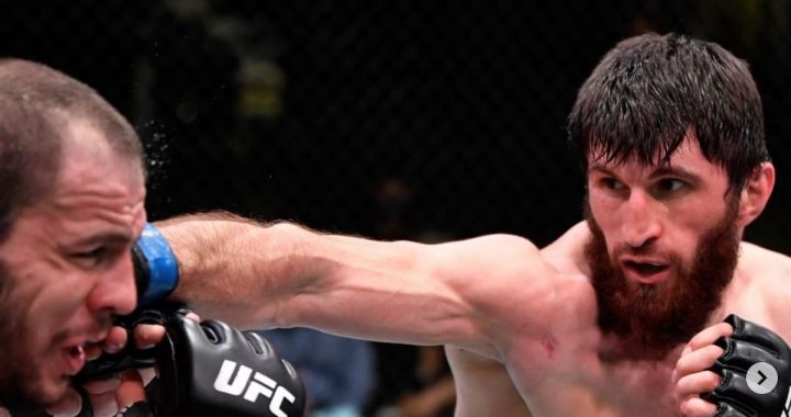 Magomed Ankalaev finishes strong to beat Nikita Krylov by unanimous decision