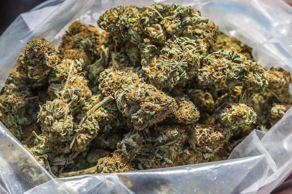 Buy Weed In Bulk, weed online