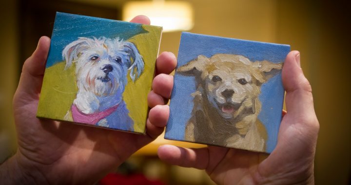 pet portrait artists