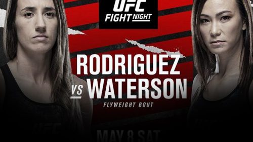 Marina Rodriguez outpoints Michelle Waterson in stand up battle