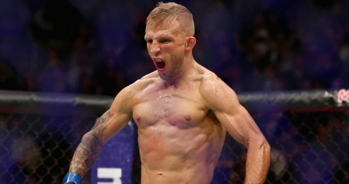 TJ Dillashaw