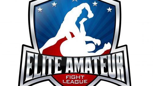 Elite Amateur Fight League