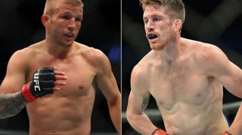 UFC on ESPN 27, TJ Dillashaw, Cory Sandhagen