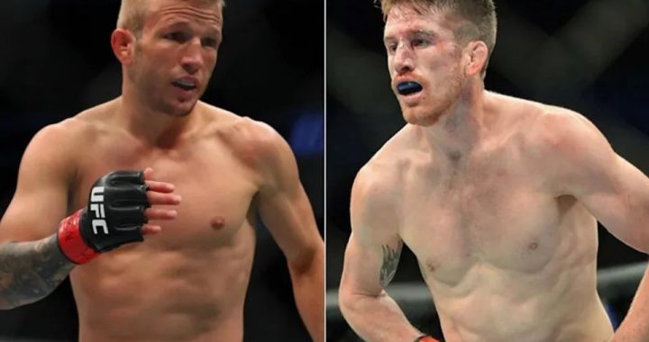 UFC on ESPN 27, TJ Dillashaw, Cory Sandhagen