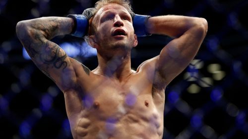 TJ Dillashaw