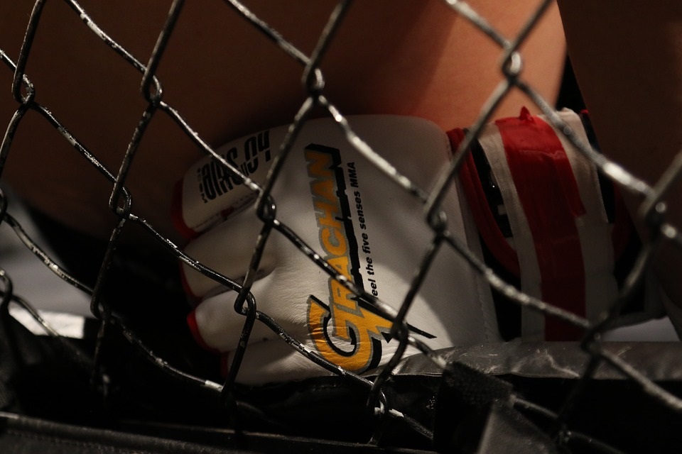 MMA has become one of the most popular combat sports