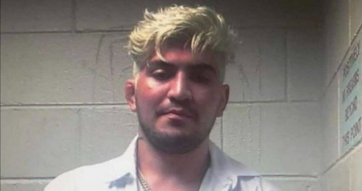 Dillon Danis Arrest, Dillon Danis