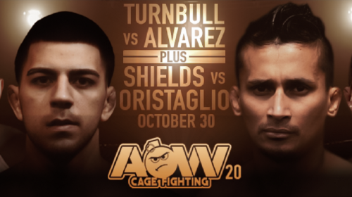 Art of War Cage Fighting 20 results - Alvarez vs. Turnbull