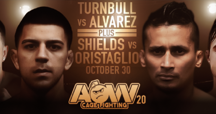 Art of War Cage Fighting 20 results - Alvarez vs. Turnbull