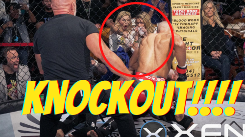 The BEST reaction to a 9-second KNOCKOUT caught on camera