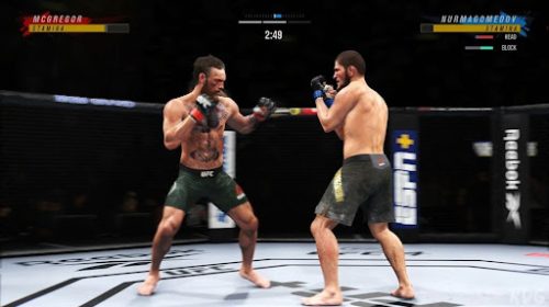 UFC 4 on PC