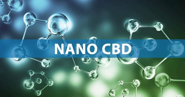 How Does Nano CBD Oil Work?