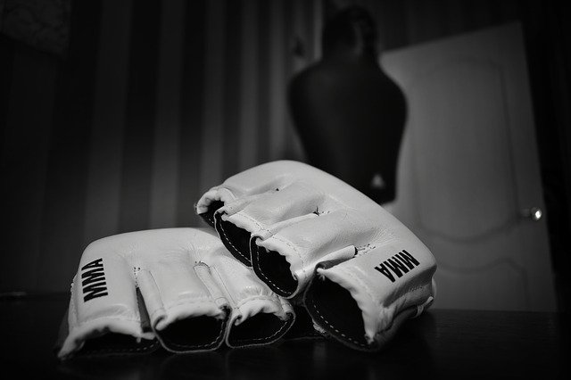 mma gloves