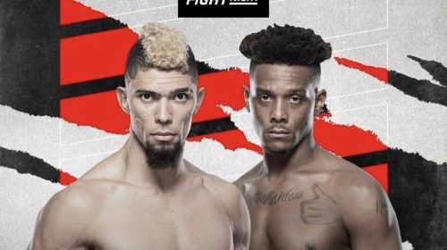 UFC Vegas 48 results - Walker vs. Hill