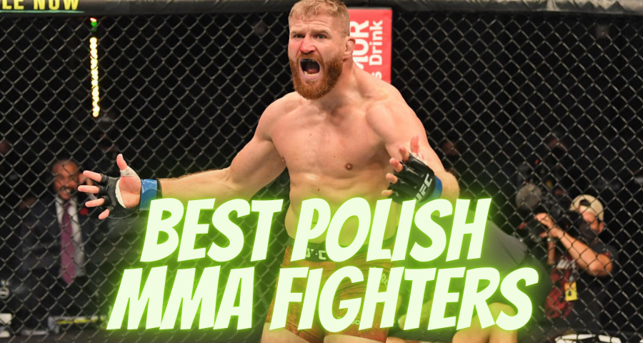 Best Polish MMA Fighters