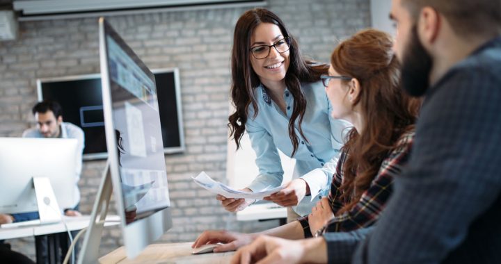 webentwicklung Dresden