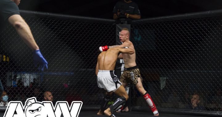 Dylan Harnish, Art of War Cage Fighting