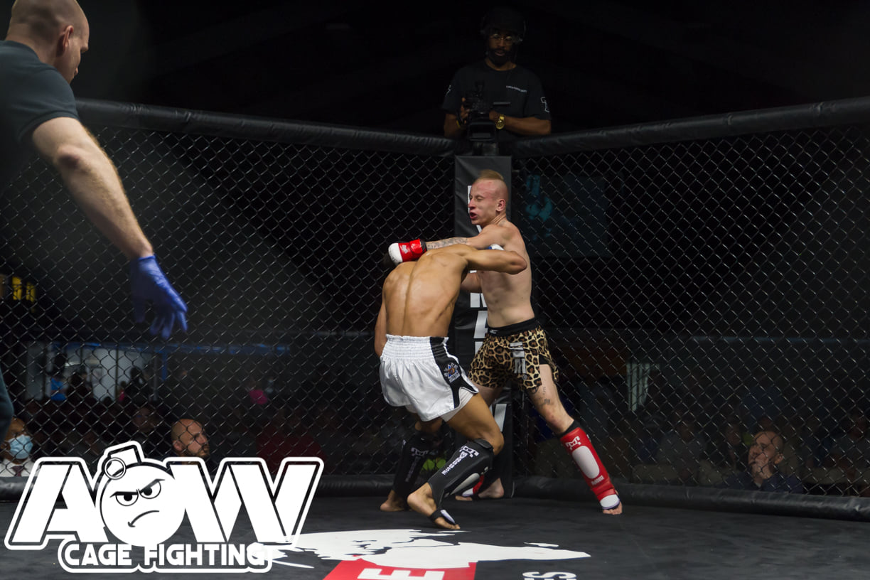 Dylan Harnish, Art of War Cage Fighting