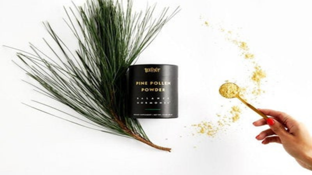 A Complete Guide About Pine Pollen & Its Health Benefits
