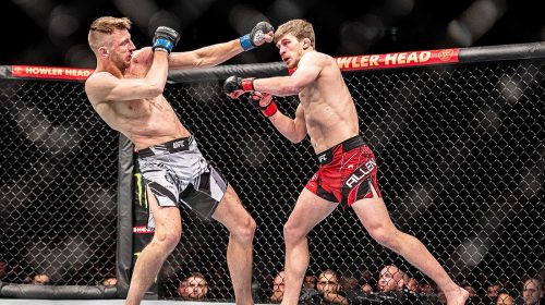 Arnold Allen storms through and TKO's Dan Hooker at UFC London