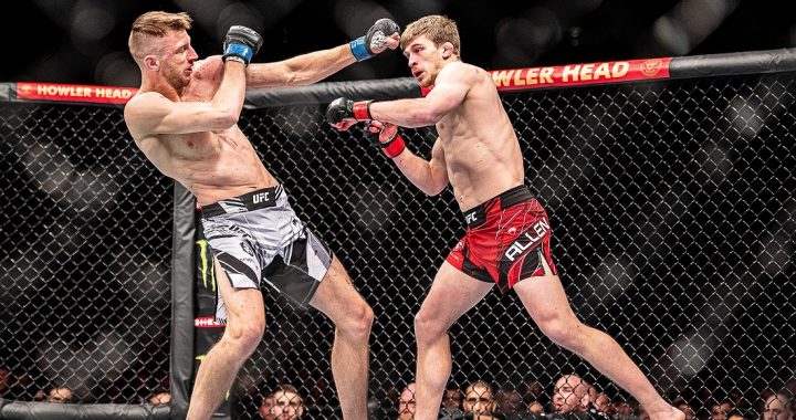 Arnold Allen storms through and TKO's Dan Hooker at UFC London