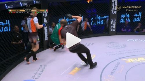 Referee gets KNOCKED OUT mid-fight at MMA Super Cup - VIDEO