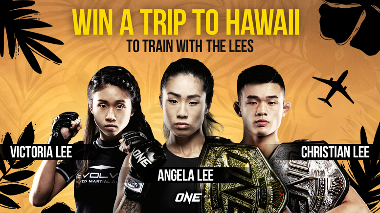 Win a trip to Hawaii to train with the Lees