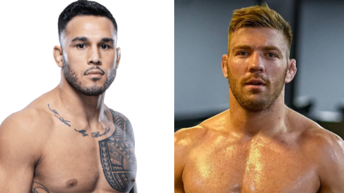 Brad Tavares vs. Dricus Du Plessis Booked for UFC 276