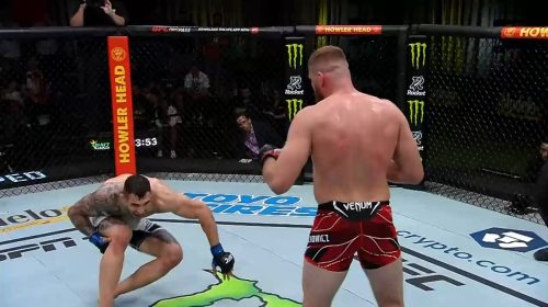 Aleksandar Rakic injures knee, Jan Blachowicz triumphs at UFC on ESPN 37