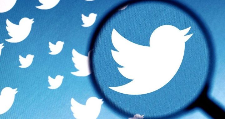 How to Gain MMA Followers for Your Twitter Account