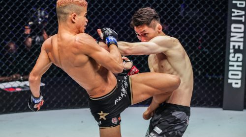 Liver Kick - Watch Fabricio Andrade FOLD Kwon Won Il in Round 1