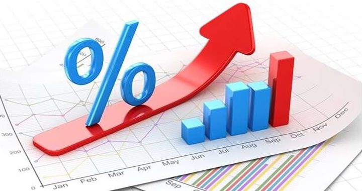 Forex Interest Calculator according to trader union