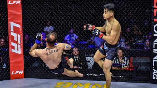 An Tuan Ho, head-kick, head-kick knockout