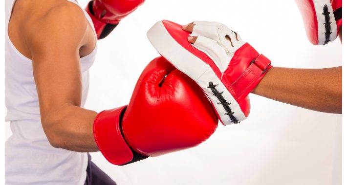 Boxing Mitts