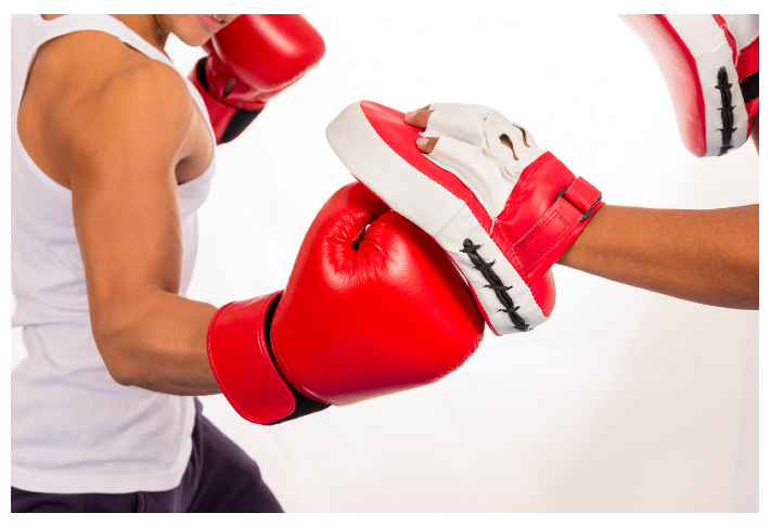 best punch mitts for boxing