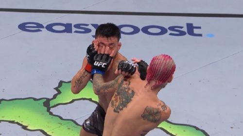 eye poke, UFC 276, UFC gloves